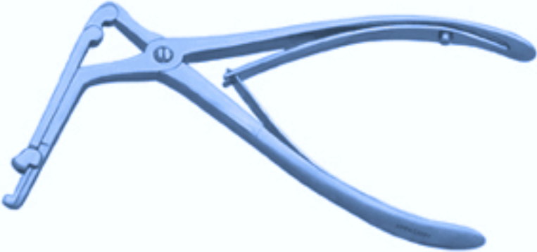 Citeli Bone Nibbling Ronguer